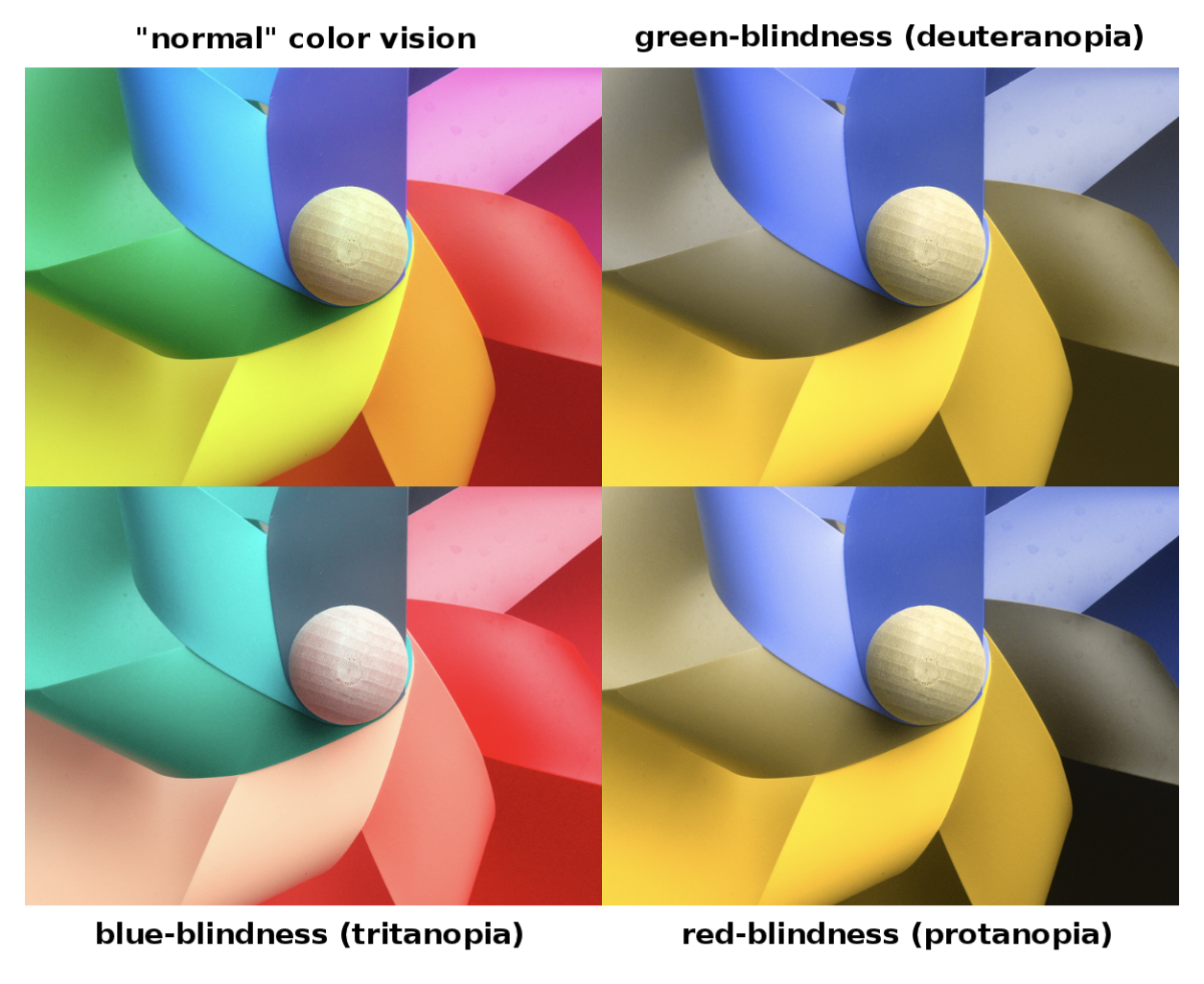 Un'immagine con 4 riquadri, ognuno riporta l'immagine di una girandola colorata per riportare la differente visione dei colori. Sopra ogni immagine la scritta che illustra il tipo di condizione visiva. In senso orario da in alto a sinistra: "normal" color vision, green-blindness (deuteranopia), red-blindness (protanopia), blu-blindness (tritanopia).