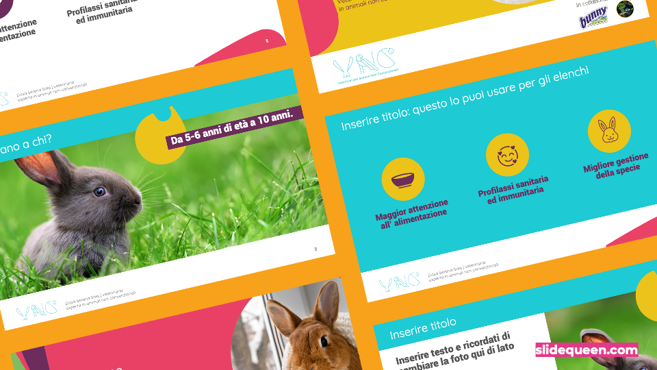 SerenaSola-template-PPT-Slide-Queen-powerPoint